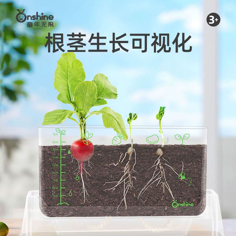 全方位可视化见证根茎生长