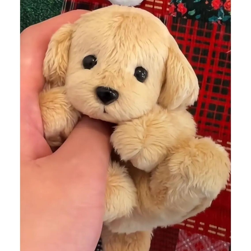 小红书同款手作豆袋金毛小狗毛绒安抚可爱娃娃玩偶毛绒玩具礼物