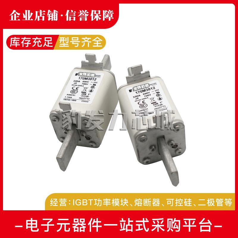 170M3808D/3809D/4863D-4867D/5814D/5820D/5816D/5817D熔断器