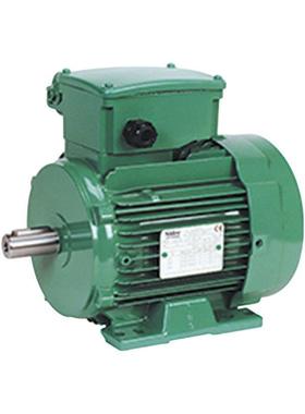 工厂直采 德国 LEROY SOMER 感应电机 多型号可询 LS P系列