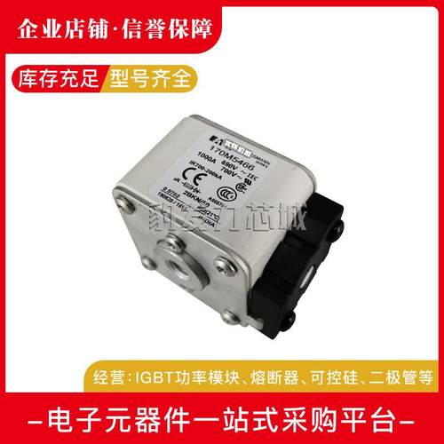 170M5444 170M5445 170M5446 170M5447 170M5448全新熔断器现货