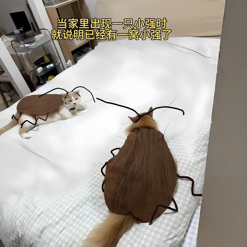 猫咪蟑螂衣服创意搞怪宠物小猫cos小强装扮道具手工diy扭扭棒材料