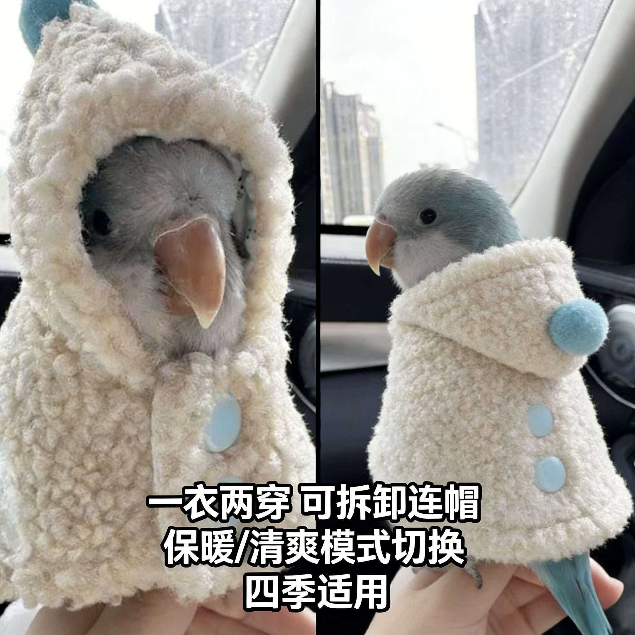 鹦鹉专用衣服牡丹斗篷披风防风玄凤加厚保暖外出服遛鸟披肩小鸟保
