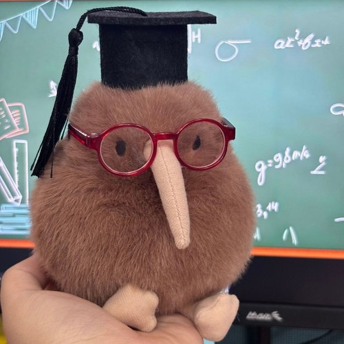 小红书同款kiwi几维鸟玩偶挂件飞禽小鸟毛绒公仔朋友毕业礼物女生