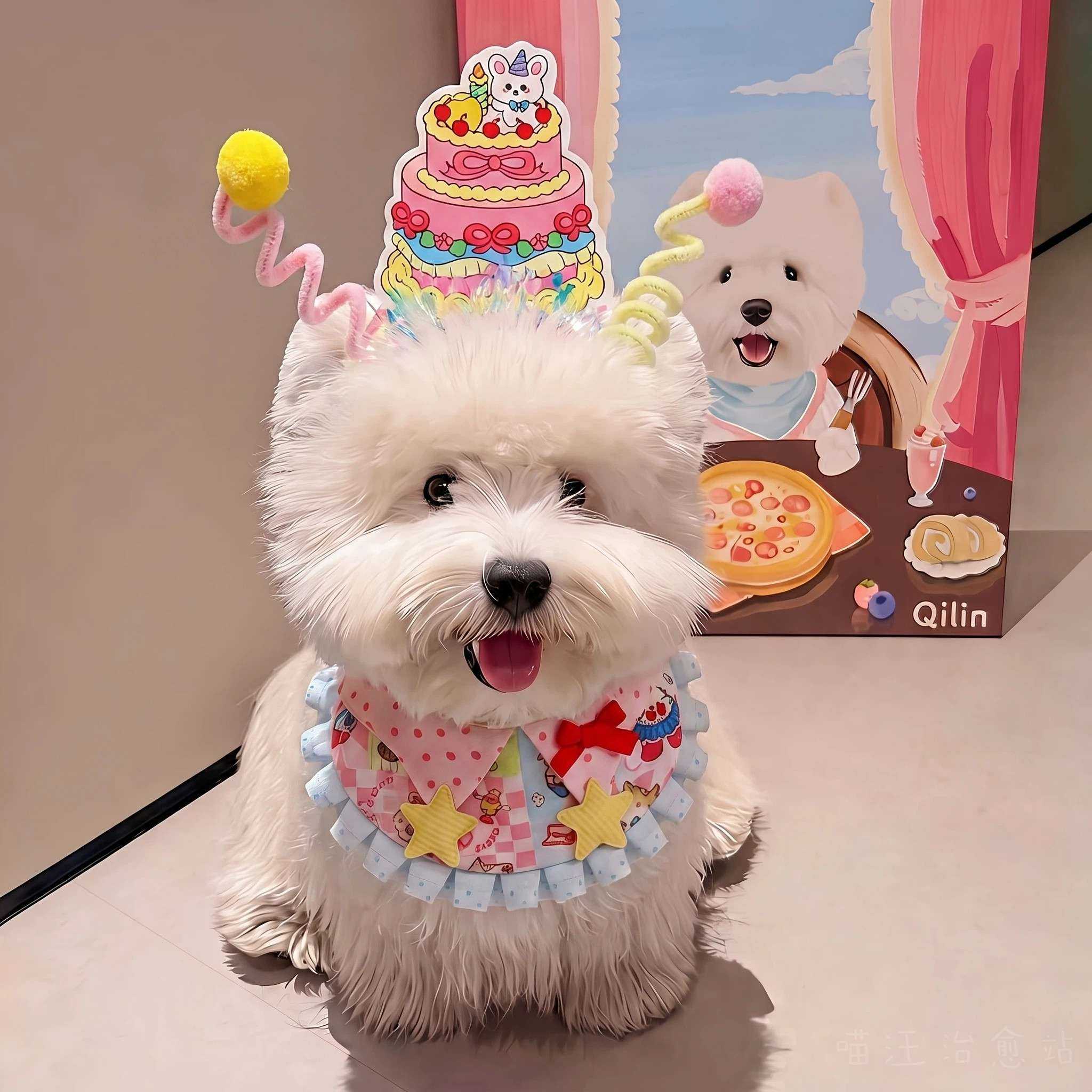 狗狗口水巾宠物围脖生日装扮猫咪围兜狗狗小配饰围嘴口水兜小型犬