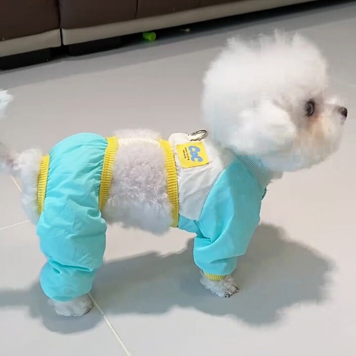狗狗衣服四脚防尘裤小型犬泰迪博美比熊外出遛狗防脏神器防脏腿套