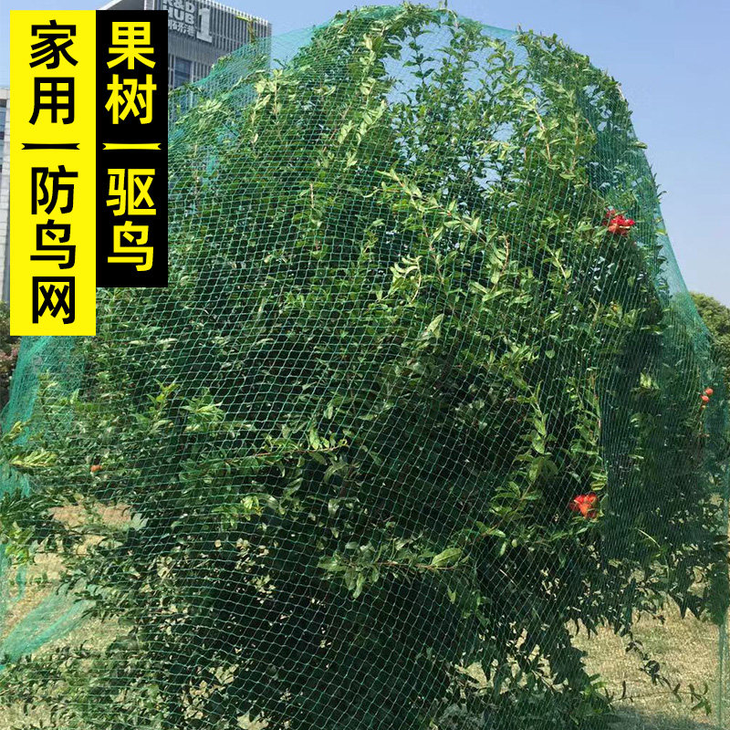 防鸟用的网樱桃丝果园盖树