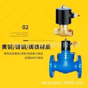 100F ZCZP铸钢15铸铁20法兰二通蒸汽电磁阀ZCZ