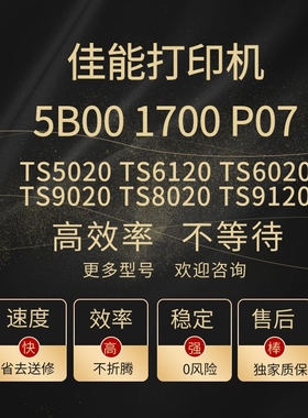 适用佳能TS6120 TS6020 TS5020 TS9120 TS9020 TS8080打印机清零