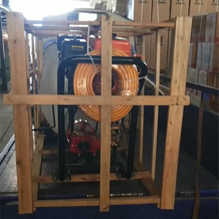 农作物打药喷雾器 农用高压小型背负式喷药消毒机 桃园杀虫机械