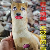 XIXI口 搞笑抽象定制抱枕宠物枕头丑猫狗定做白边异形玩偶靠垫