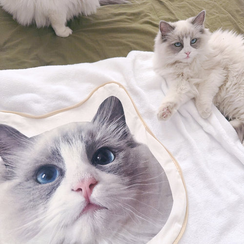 XIXI口热销已破20万8千+加购