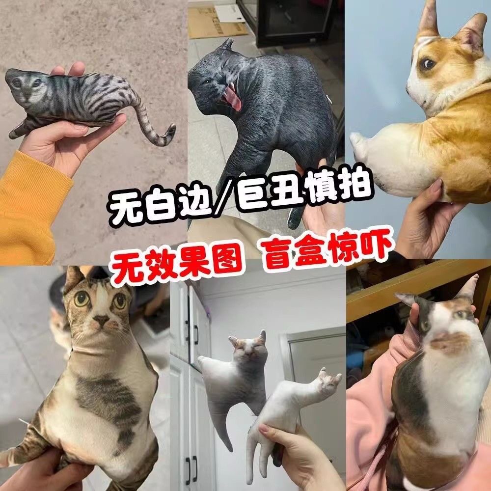 XIXI口 无白边真人形抱枕定制玩偶小人偶照片老鼠干娃娃搞怪宠物图片