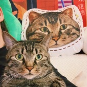 XIXI口 定制抱枕宠物猫咪狗狗异形玩偶周边大头枕头diy纪念品玩偶