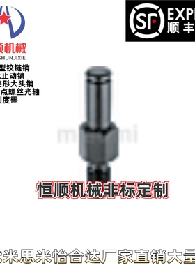 E-LXAA E-PLXAA E-SLXAA3/4/5/6/8/10-2/5/10/20/30-F10/30悬臂销