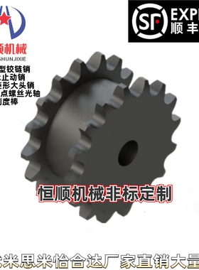 SP40SD12/SP40SD13/SP40SD14-N/S-10/13/15/18/20-双排链轮40B