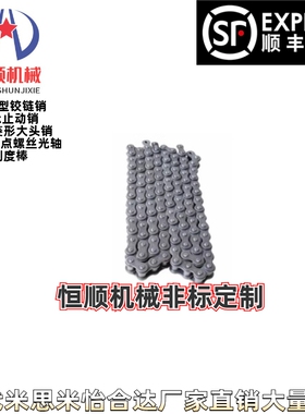 CHE40-24/30/34/36/38/44/48/50/60/100链条 40B -08A-