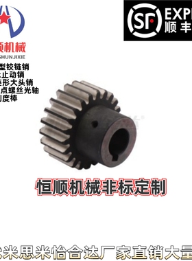 VNG01/11/21-1.0 1.5 2.0 2.5 3.0-20 22 24 25 26 28 30 32 齿轮