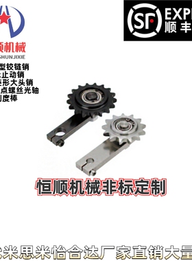 TNSRL TNSNL 20-10-12-50-60-8--10 10 12 15 17 链条张力调整器