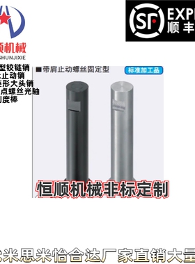 HCLSG/HCLSGH3/4/5/6/8/10/12/15/16/20/25-5~150-E5-F2铰链销