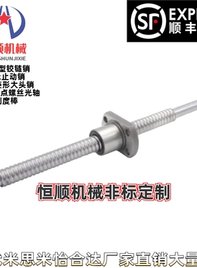 BTWE2005/2010/2020/2020Y-L200/300/500~1200-T20~36-R-N-A丝杠