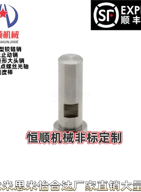 SHCLSG SHCLSGH3/4/5/6/8/10/12/15/16/20/25-5~150-E5-F2铰链销