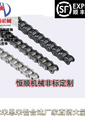 CHE40-400 CHEH40-U CHEM40 CHES40 链条 SP40B20-N-20 BSP40B