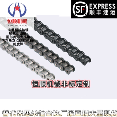 CHE40-400 CHEH40-U CHEM40 CHES40 链条 SP40B20-N-20 BSP40B