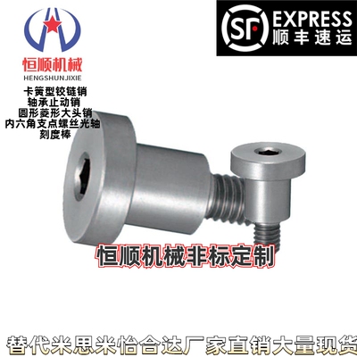 DBTS3/4/5/6/8/10短头型轴销固定螺栓 簿头台阶支点螺丝不锈钢