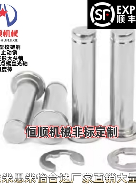 SHCCG8/10/6/5/4/12-10/15/20/25铰链销带肩扣环型替代