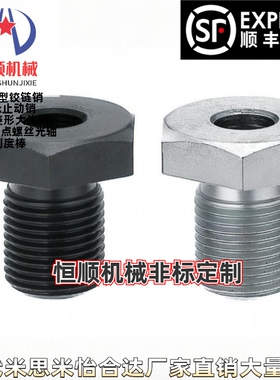 PAX02-M20 M24 M30-L20 L25 L30 L40 L50 L60 L80 L100调整螺栓