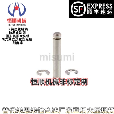 铰链销直柱式扣环带肩螺帽