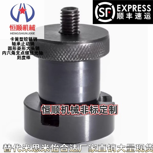 定位锁紧球锁轴BLL30-d13d16d20