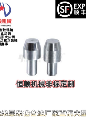 YBP61 62 63 65 66 68-D2 D3D4 D5 D6 D8 D10 D12 D13 D16大头销