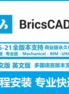 BricsCAD V26 25.2 24 23 22 Ultimate 软件远程安装中文版英文版