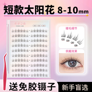 原初之萌〖太阳花〗超短款免胶假睫毛女自然仿真2025新款韩系女团