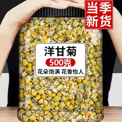 新货洋甘菊茶叶花茶非罗马洋甘菊灌肠葛森西洋甘菊花草茶散装