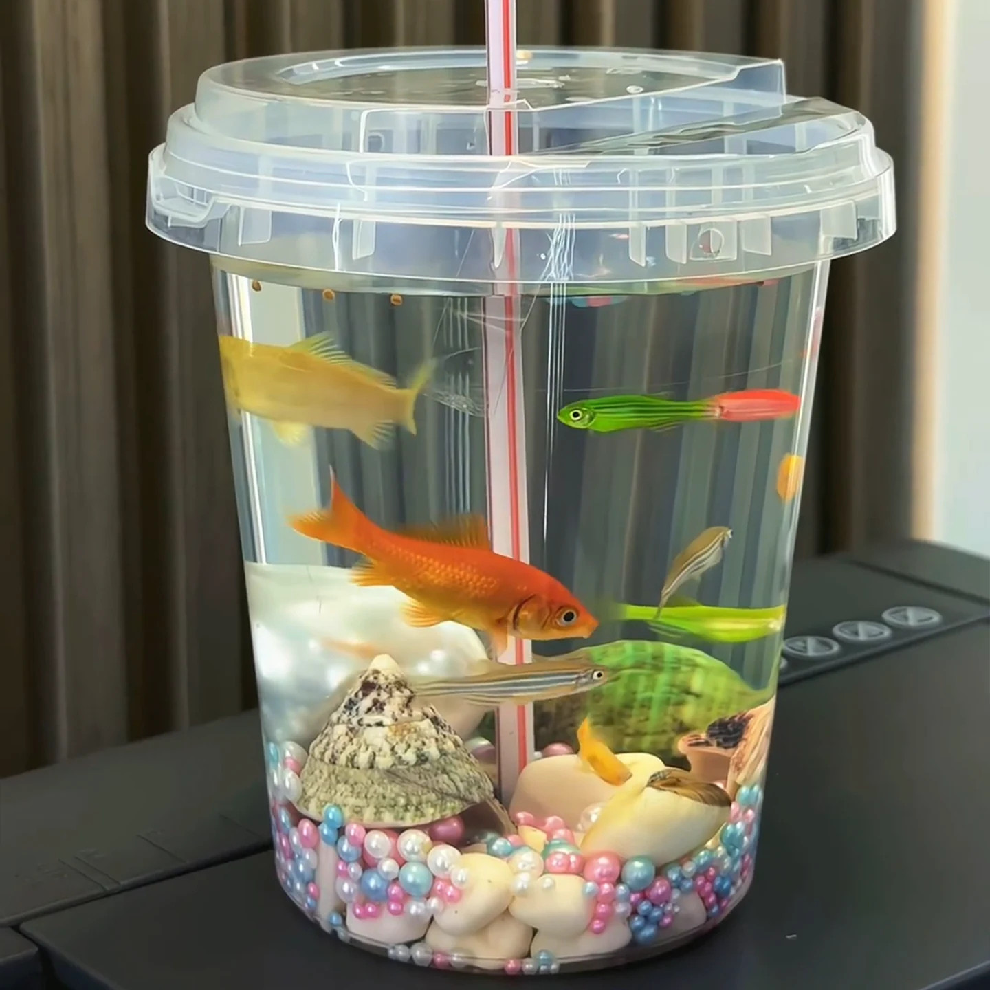 手提小生态瓶免打理鱼缸桌面微景观水草斗鱼观赏鱼缸造景材料包