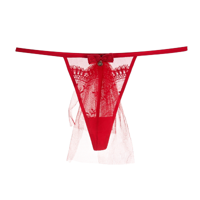 DonnaForte性感女士丁字裤