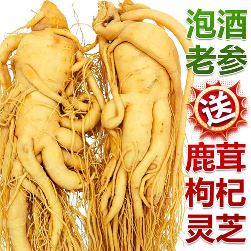 人参长白山泡酒煲汤滋补品包邮