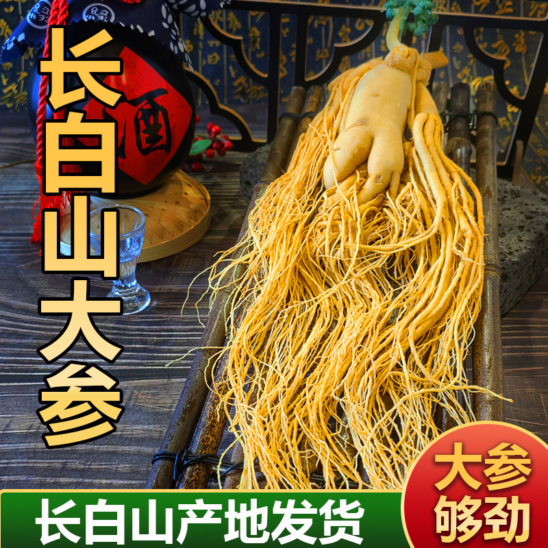 正宗长白山人参鲜人参泡酒滋补煲汤吉林东北特此产地发货