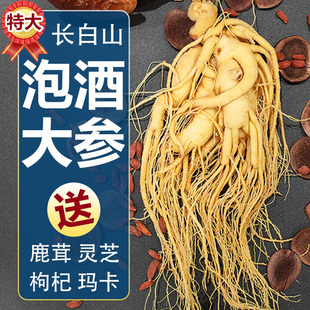 人参长白山鲜人参东北特产泡酒煲汤吉林发货产地滋补药材批发
