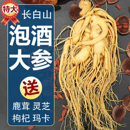 人参长白山鲜人参东北特产泡酒煲汤吉林发货产地滋补药材批发