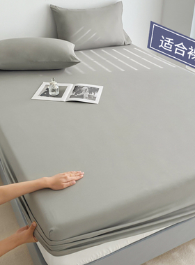 2025新款床笠单件全包床罩床垫防尘套四季席梦思水洗棉防滑保护套