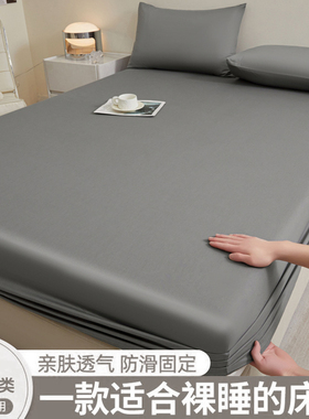 A类全棉床笠单件100%纯棉加厚床罩四季通用三件套床垫保护套床套3