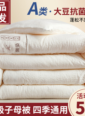 大豆纤维被夏被冬被子母被春秋被棉被芯四季通用夏季夏凉被空调被