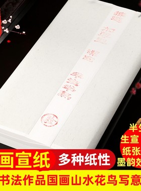 宣纸四尺书法专用纸白色半生半熟国画山水花鸟毛笔书法练字纸对开生宣四开三尺熟宣工笔画小楷六尺创作用品纸