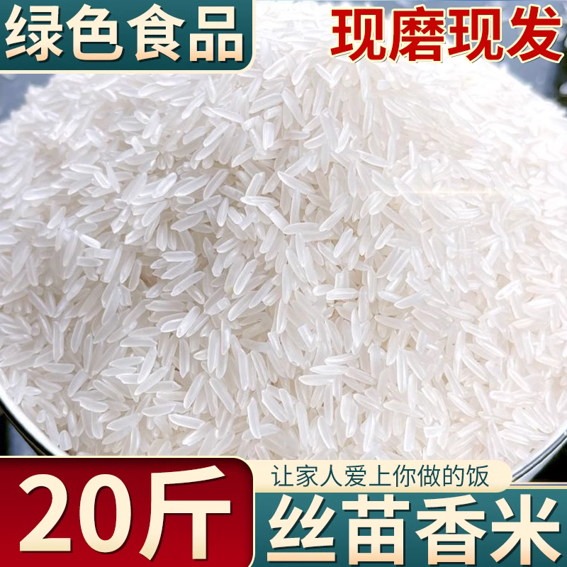 丝苗米南方晚稻米新米长粒香米