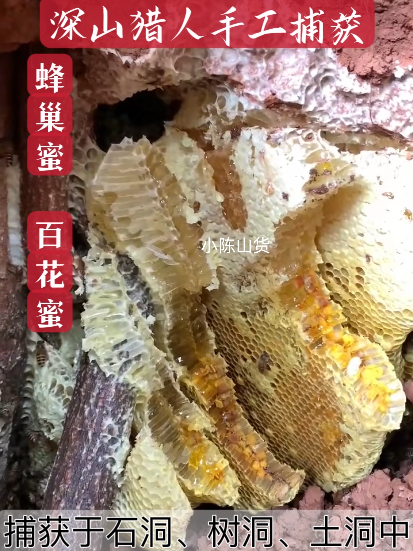 真蜂蜜深山土蜂蜜天然纯正野生洋槐蜜自产结晶蜜百花蜜500g瓶包邮