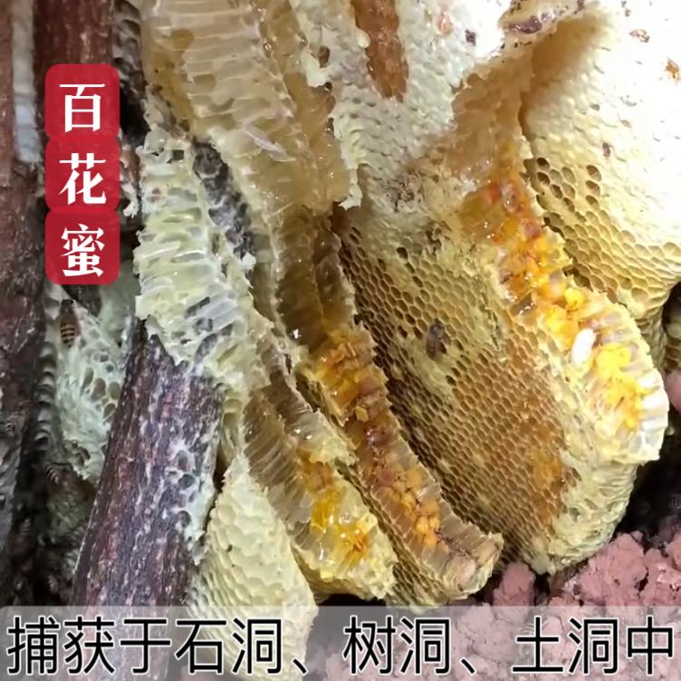 真蜂蜜深山土蜂蜜天然纯正野生洋槐蜜自产结晶蜜百花蜜500g瓶包邮
